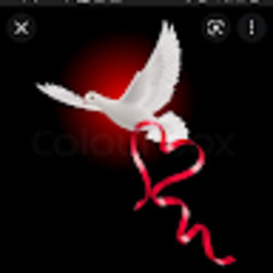 Meet your Posher, Krista